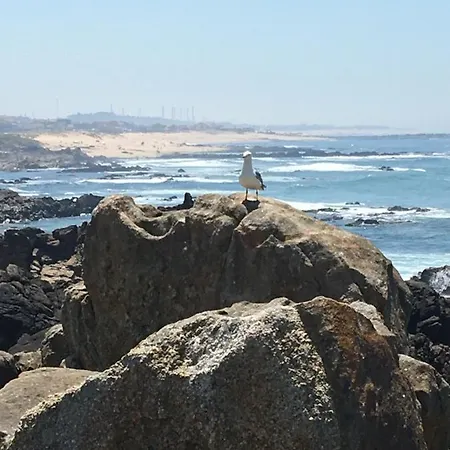 Fabrica Apartament *