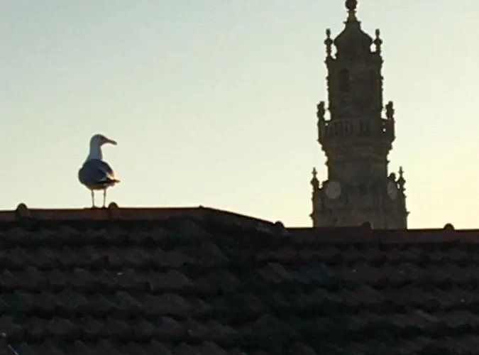 Fabrica Appartamento *